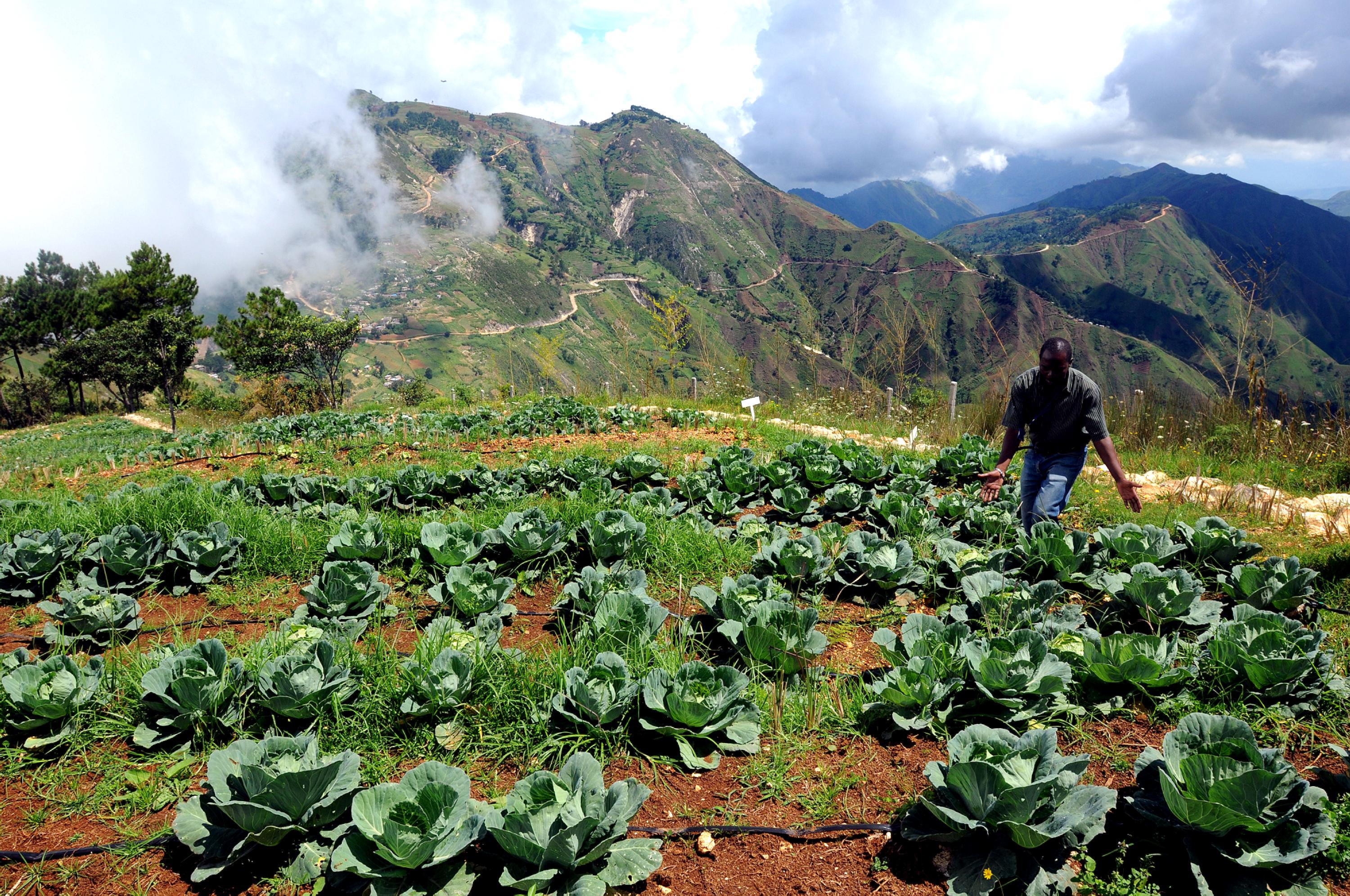 What Are The Top Natural Resources Of Haiti What Are The Top Natural Resources Of Haiti